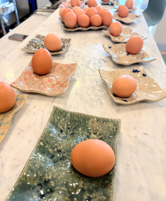 Egg Trays